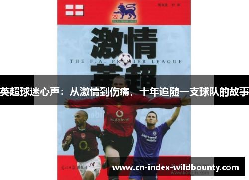 英超球迷心声：从激情到伤痛，十年追随一支球队的故事
