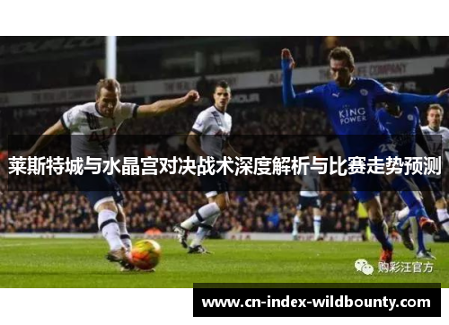 莱斯特城与水晶宫对决战术深度解析与比赛走势预测