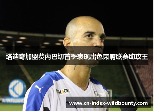 塔迪奇加盟费内巴切首季表现出色荣膺联赛助攻王