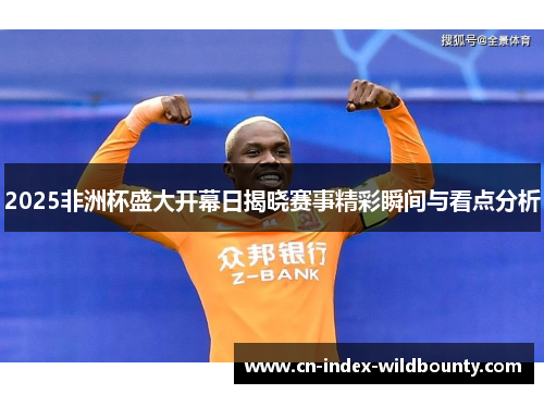 2025非洲杯盛大开幕日揭晓赛事精彩瞬间与看点分析